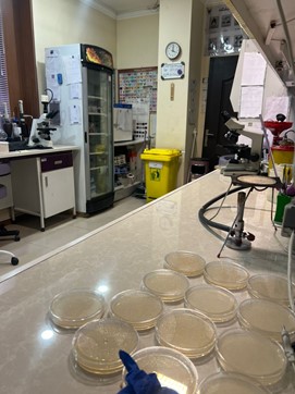 نمایی از بخش میکروب‌شناسی