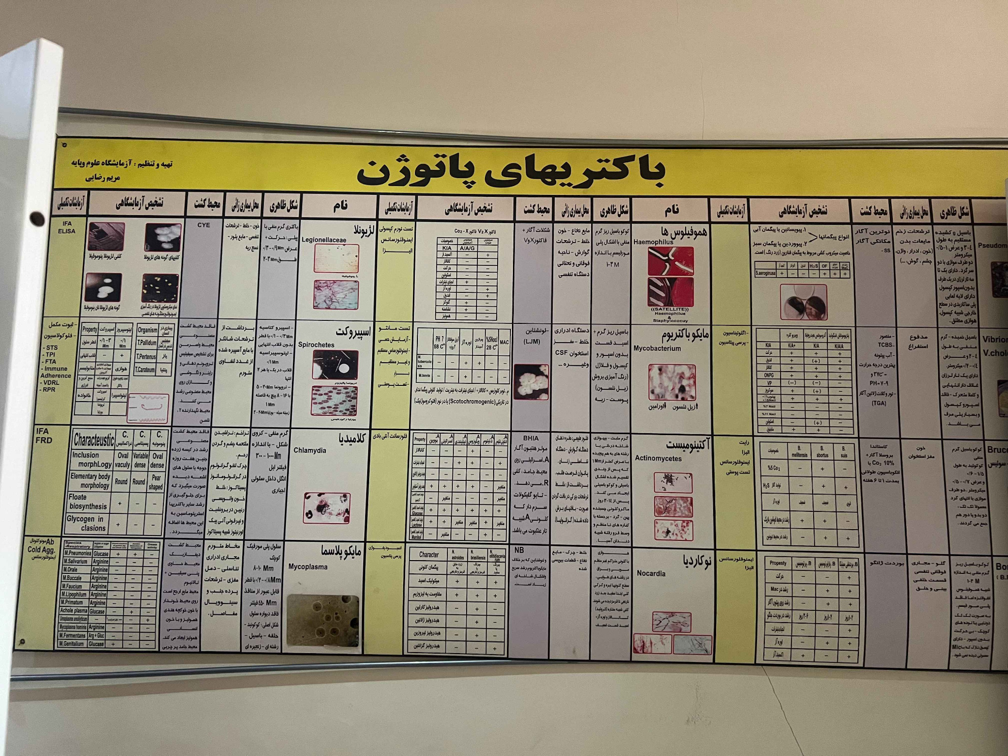 باکتری‌های پاتوژن